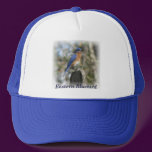 Eastern Bluebird Male Hat