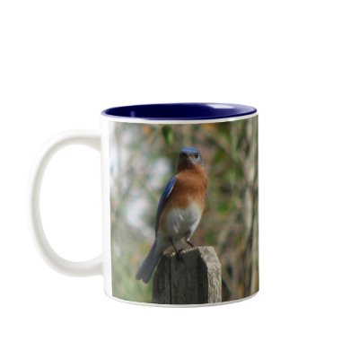 Eastern Bluebird Male Mug by naturegirl7