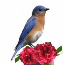 Eastern Bluebird Male Photo Sculpture photo sculptures