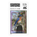 Eastern Bluebird Male Postage postage
