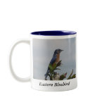 Eastern Bluebird Coffee Mug