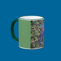 Eastern Bluebird mugs
