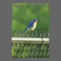 Eastern Bluebird on Fence iPad Mini Case ipad mini cases