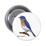 EASTERN BLUEBIRD PINS