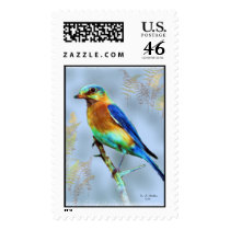 Eastern Bluebird...Postage Stamp.