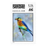 Eastern Bluebird...Postage Stamp.