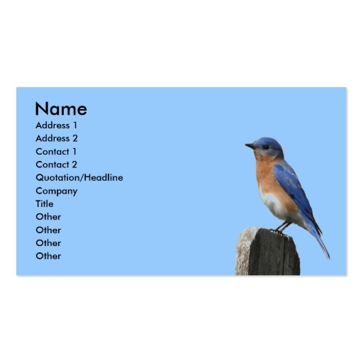 Eastern Bluebird Profile Card Business Cards (front side)