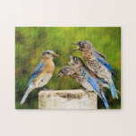 Eastern Bluebird Puzzle