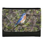 Eastern Bluebird Wallet For Women
