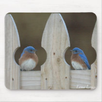 Eastern Bluebirds mousepads