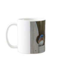 Eastern Bluebirds Mug