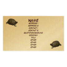 Eastern Box Turtle Business Card
