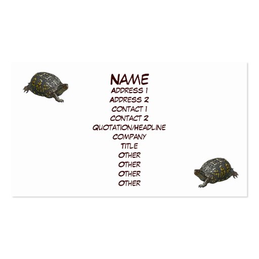 Eastern Box Turtle Business Card (front side)