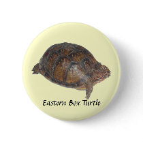 Eastern Box Turtle Buttons