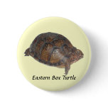 Eastern Box Turtle Buttons