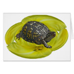 Eastern Box Turtle Coordinating Items Greeting Cards