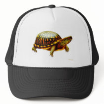 Eastern Box Turtle hats