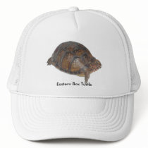 Eastern Box Turtle hats