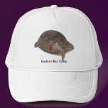 Eastern Box Turtle hats