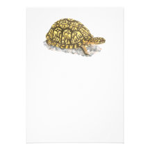 Eastern Box Turtle Invitation