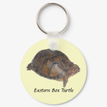 Eastern Box Turtle keychains by naturegirl7 Eastern Box Turtle keychains