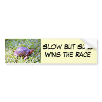 Eastern Box Turtle Louisiana bumper stickers