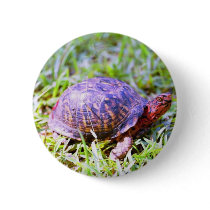 Eastern Box Turtle Louisiana Pins