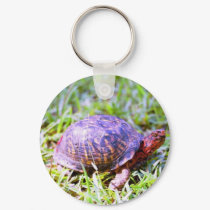 Eastern Box Turtle Louisiana keychains by naturegirl7 Eastern Box Turtle Louisiana keychains