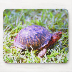 Eastern Box Turtle Louisiana mousepad