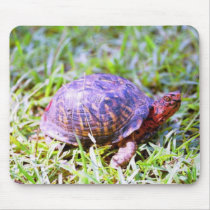 Eastern Box Turtle Louisiana mousepads by naturegirl7 Eastern Box Turtle Louisiana mousepads