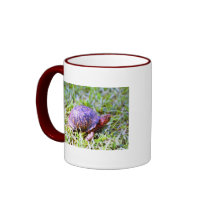 Eastern Box Turtle Louisiana mugs by naturegirl7 Eastern Box Turtle Louisiana mugs