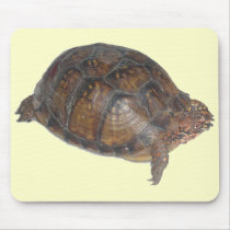 Eastern Box Turtle Mousepad