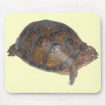 Eastern Box Turtle Mousepad