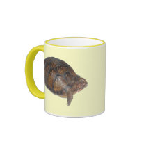 Eastern Box Turtle mugs by naturegirl7 Eastern Box Turtle mugs