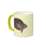 Eastern Box Turtle Coffee Mugs