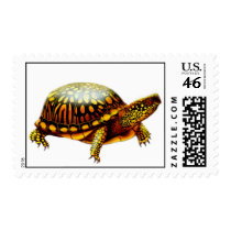 Eastern Box Turtle Postage postage