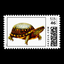 Eastern Box Turtle Postage postage