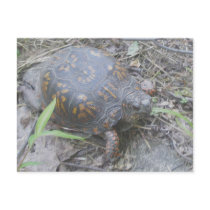 Eastern Box Turtle Postcard #1