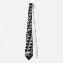 eastern box turtle custom ties