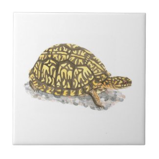 Eastern Box Turtle Tile