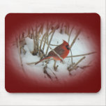 Eastern Cardinal Songbird Coordinating Items Mouse Pad