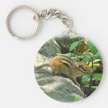 Eastern Chipmunk on Stump Keychain