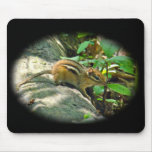 Eastern Chipmunk on Stump Mousepads