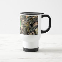 Eastern Chipmunk - Tamias striatus Mugs
