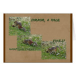 Eastern Chipmunk - Tamias striatus - YIKES Cards