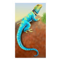 Eastern Collared Lizard Poster posters by twopurringcats Eastern Collared Lizard Poster posters
