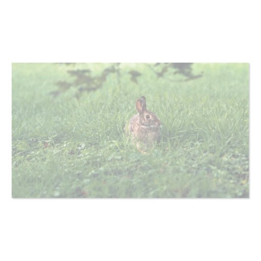 Eastern Cottontail Business Cards (back side)