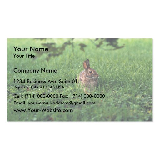 Eastern Cottontail Business Cards