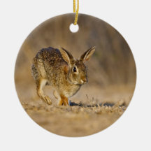 Eastern cottontail rabbit hopping christmas tree ornament