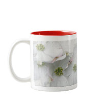 Eastern Dogwood Blossoms - Cornus florida Mug